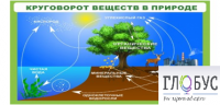 Стенд "Круговорот веществ" - «globural.ru» - Рузаевка