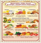Стенд "Витамины, жиры, белки" - «globural.ru» - Рузаевка