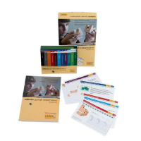 Методическое пособие Cuboro – думай креативно - «globural.ru» - Рузаевка