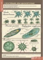 Биология 7 класс. Животные (комплект таблиц) - «globural.ru» - Рузаевка