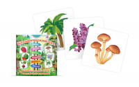 Набор карточек для знакомства с лексической темой растения "Ботанический сад" - «globural.ru» - Рузаевка