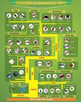 Стенд "Эволюция органического мира" - «globural.ru» - Рузаевка