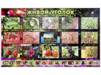 Комплект оборудования "Живой уголок" (растения) с тифлопереводом и сурдокомментариями - «globural.ru» - Рузаевка