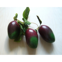 Муляж "Ветка манго" - «globural.ru» - Рузаевка