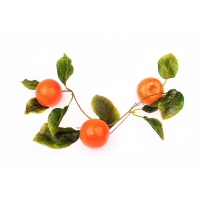 Муляж "Ветка мандарин" - «globural.ru» - Рузаевка