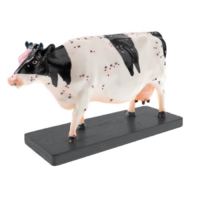 Электрифицированный макет коровы на каркасе - «globural.ru» - Рузаевка