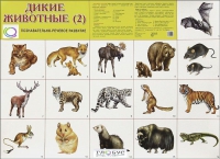 Раздаточные карточки "Дикие животные" часть 2 - «globural.ru» - Рузаевка
