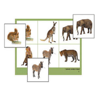 Лото "Дикие животные" (4 планшета, 24 карточки, цветное, ламинированное) - «globural.ru» - Рузаевка