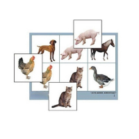 Лото "Домашние животные" (4 планшета, 24 карточки, цветное, ламинированное) - «globural.ru» - Рузаевка