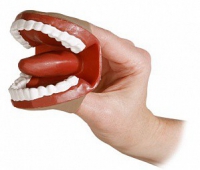 Муляж артикуляционного аппарата - «globural.ru» - Рузаевка