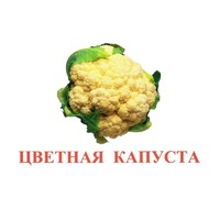 Карточки Домана "Овощи-Зелень-2" - «globural.ru» - Рузаевка