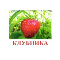 Карточки Домана "Ягоды-1" - «globural.ru» - Рузаевка