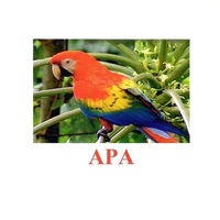 Карточки Домана "Птицы-2" - «globural.ru» - Рузаевка