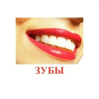 Карточки Домана "Части тела" - «globural.ru» - Рузаевка