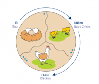 Развивающий пазл Навито "Эволюция" - «globural.ru» - Рузаевка