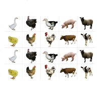 Комплект карточек. Серия наглядных пособий "Запоминай, играй, считай". Домашние животные - «globural.ru» - Рузаевка