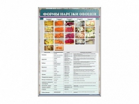 Стенд "Формы нарезки овощей" - «globural.ru» - Рузаевка