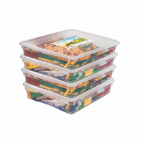 Набор для конструирования «Фанкластик: весь мир в руках твоих 4 (4-5 лет)» - «globural.ru» - Рузаевка