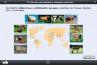 Интерактивные курсы. Биология 7 класс. Расширенный - «globural.ru» - Рузаевка