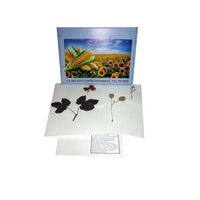 Гербарий Сельскохозяйственные растения (28 видов) - «globural.ru» - Рузаевка