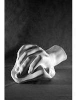 Кисть Давида - «globural.ru» - Рузаевка