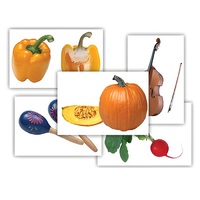 Набор предметных картинок "Овощи. Музыкальные инструменты" - «globural.ru» - Рузаевка