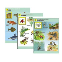 Комплект таблиц для начальной школы "Окружающий мир. Животный мир" - «globural.ru» - Рузаевка