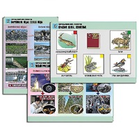 Комплект таблиц для  начальной школы "Окружающий мир. Экология" - «globural.ru» - Рузаевка