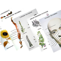 Таблицы по природоведению 1-3 класс - «globural.ru» - Рузаевка