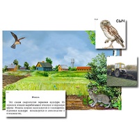 Магнитный плакат-аппликация "Поле: биоразнообразие и взаимосвязи в сообществе" - «globural.ru» - Рузаевка