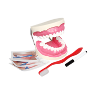 Игровой комплект "Чистим зубы" - «globural.ru» - Рузаевка