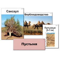 Модель-аппликация "Природные зоны России" - «globural.ru» - Рузаевка