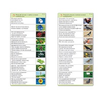 Комплект карточек (10) "Обучающий калейдоскоп. Природа" - «globural.ru» - Рузаевка
