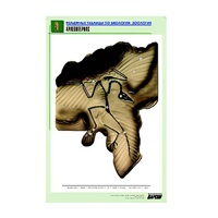 Рельефная таблица "Археоптерикс" (формат А1, матовое ламинир.) - «globural.ru» - Рузаевка