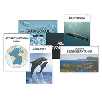 Модель-аппликация "Океаны. Знакомство" (ламинированная) - «globural.ru» - Рузаевка
