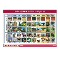 Таблица демонстрационная "Почвы, растения и животные природных зон" (винил 100x140) - «globural.ru» - Рузаевка