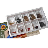 Коллекция "Плоды сельскохозяйственных растений" (вариант 2) - «globural.ru» - Рузаевка