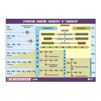 Таблица демонстрационная "Сравнение понятий изомер и гомолог" (винил 70x100) - «globural.ru» - Рузаевка