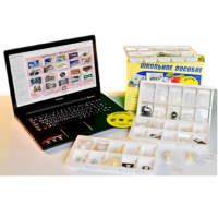 Коллекция натурально-интерактивная "Пластмассы" - «globural.ru» - Рузаевка