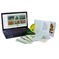 Гербарий натурально-интерактивный "Лекарственные растения" - «globural.ru» - Рузаевка