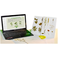 Гербарий натурально-интерактивный "Морфология растений" - «globural.ru» - Рузаевка