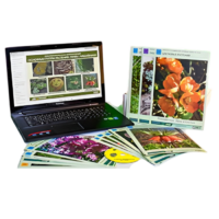 Гербарий натурально-интерактивный "Основные группы растений. Грибы. Лишайники" - «globural.ru» - Рузаевка