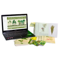 Гербарий натурально-интерактивный "Растительные сообщества. Лес" - «globural.ru» - Рузаевка