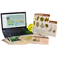 Гербарий натурально-интерактивный к курсу основ общей биологии - «globural.ru» - Рузаевка