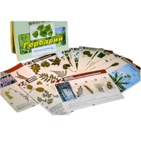 Гербарий к курсу основ общей биологии - «globural.ru» - Рузаевка