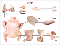 Правила разделки мясных туш "Курица" 1000*1400 винил - «globural.ru» - Рузаевка