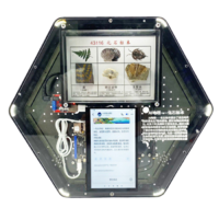 Модуль интерактивный с искусственным интеллектом "Интеллектуальная география" - «globural.ru» - Рузаевка