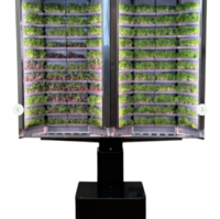 Вертикальная  ферма «Моя микрозелень» комплектация  «Театро настенная» - «globural.ru» - Рузаевка