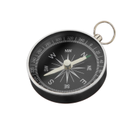 Компас (вариант 1) - «globural.ru» - Рузаевка