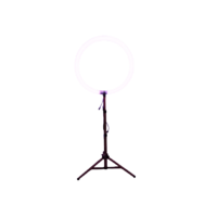 Световое кольцо LS Ring - «globural.ru» - Рузаевка